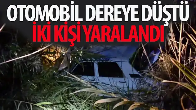 Dereye düşen otomobildeki 2 kişi yaralandı