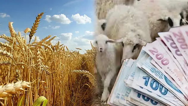 Dev destekte aslan payı Konya'nın: 896 milyon lira hesaplarda
