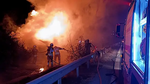 Devrilen TIR alev aldı! 2 kişi yaşamını yitirdi, kaçan anguslar otobanı birbirine kattı