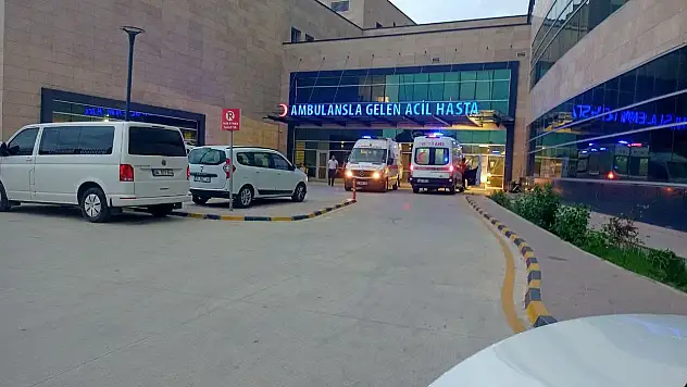 Devrilen vincin altında kaldı! Feci bir şekilde can verdi...