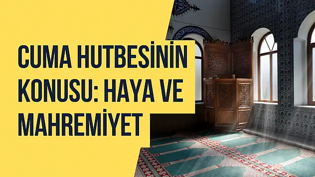 Diyanet'ten 'Haya ve Mahremiyet' vurgusu: Çıplaklık özgürlük değil, ahlaki bir tehdit