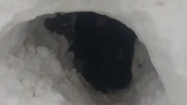 Diyarbakır'da karla mücadele: Besici ahırına tünel açarak ulaştı!