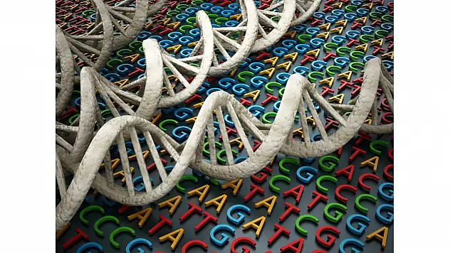 DNA'nın yapısı ve genetik kodlama: Temel bilgiler ve yeni keşifler