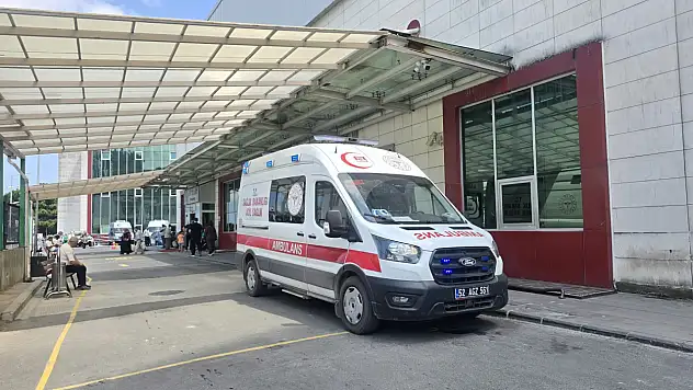 Doğadan toplanan mantar yaşlı çifti hastanelik etti
