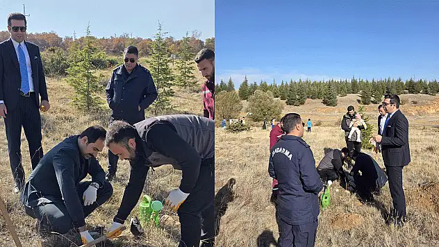 Doğanhisar'da yüzlerce fidan toprakla buluştu
