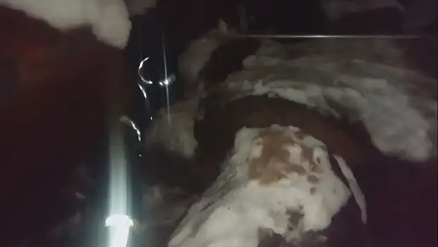 Dondurucu soğukta ölümü bekliyorlardı, itfaiye kurtardı