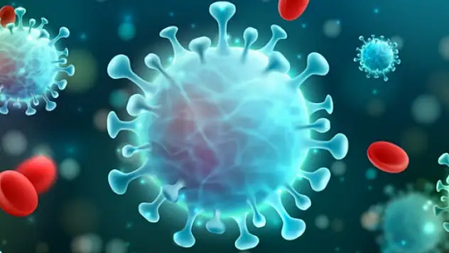 DSÖ, açıkladı: Yeni virüs hızla yayılıyor, herkes tehlike altında!