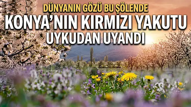 Dünyanın gözü bu şölende: Konya'nın kırmızı yakutu uykudan uyandı!
