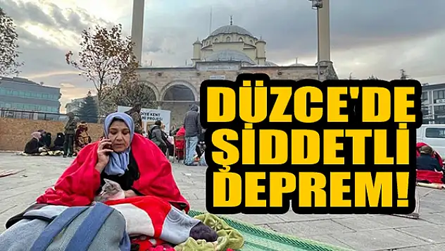 Düzce'de şiddetli deprem! Çok sayıda il sallandı