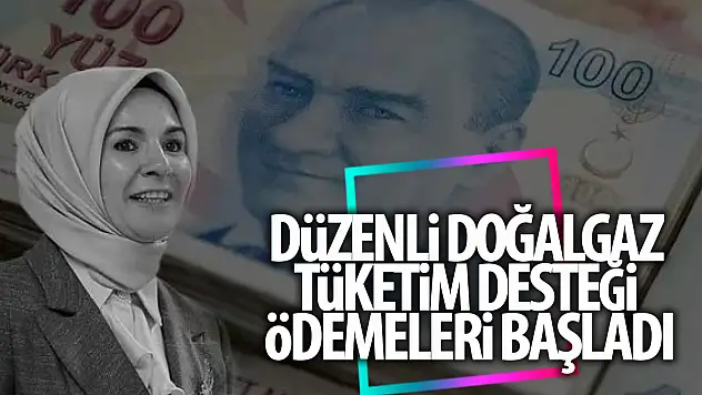 Düzenli Doğal Gaz Tüketim Desteği ödemeleri başladı