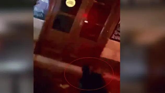 Eğlence mekanına kurşun yağdırdılar!