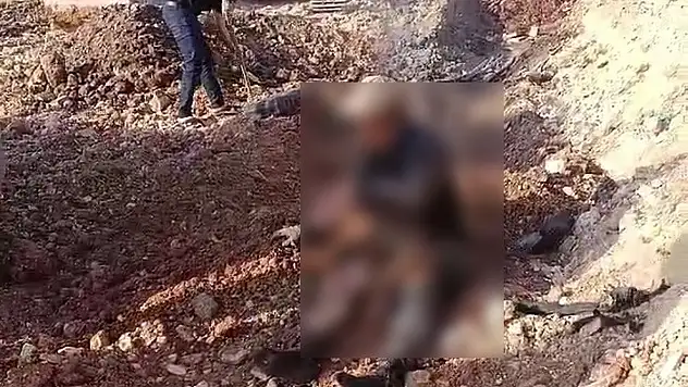 Elektrik akımına kapılıp ağır yaralandılar