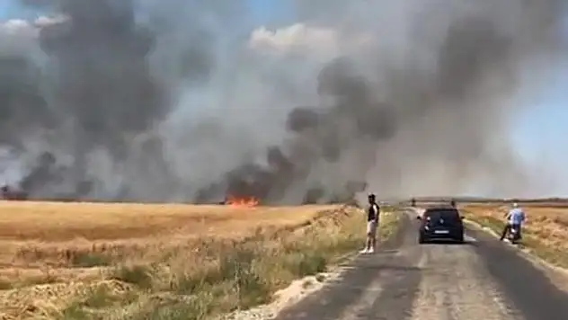 Emekleri kül oldu! Tam 50 dönümlük yeri ekmişti...