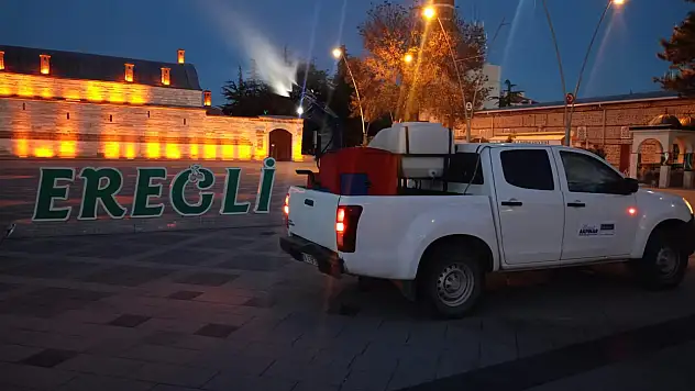 Ereğli Belediyesi'nden yaz aylarında haşereyle mücadele