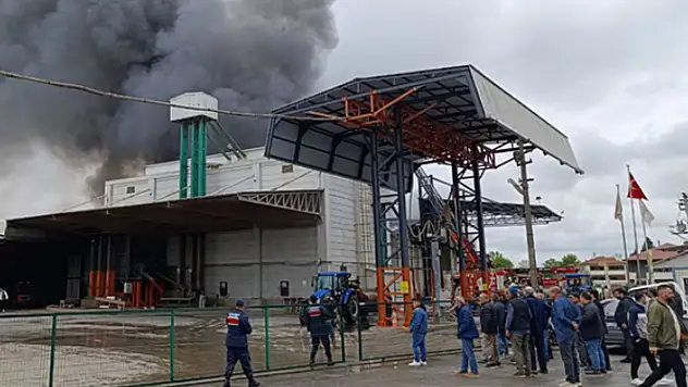 Fındık kırma fabrikasına korkutan yangın!