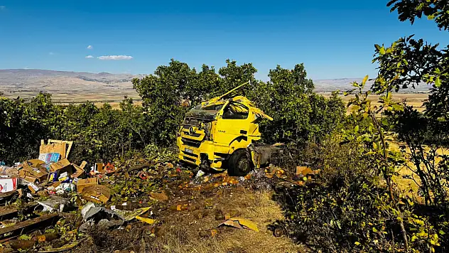 Freni boşalan TIR kaza yaptı
