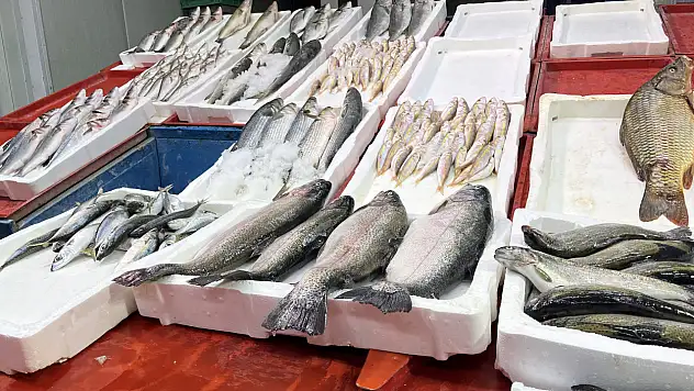 Geç soğuyan havalar Konya balıkçısını zorluyor