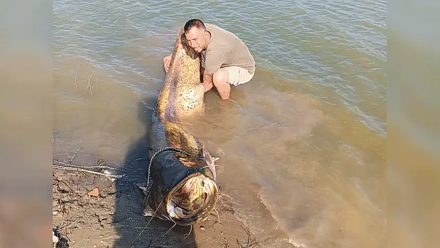 Görenler hayrete düştü! Tam 157 kilo
