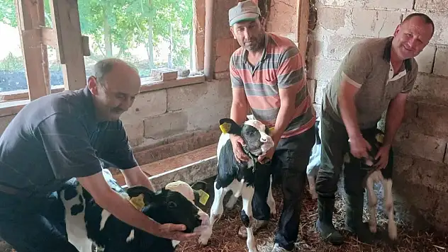 Görenleri hayrete düşüren doğum: Bereketin simgesi