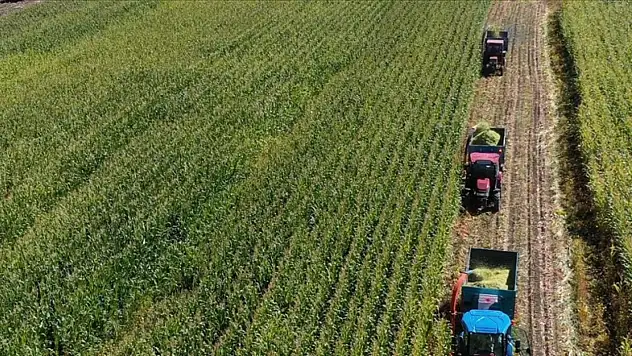 Gübreye servet dökmeye son! Hümik asitle verim katlandı