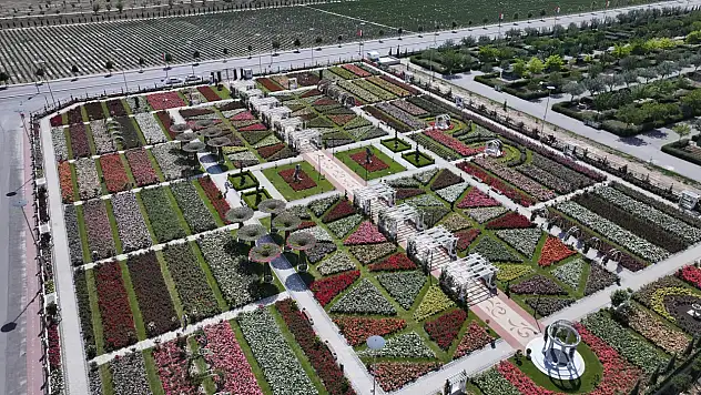 Gül kokuları arasında bir renk cümbüşü: Karatay'da görsel şölen