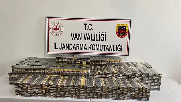 Gümrük kaçakçılığı operasyonu: 31 gözaltı