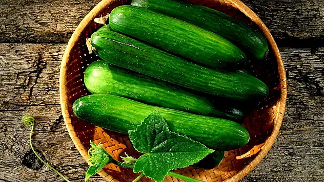 Günlük salatalık tüketimi: Sağlığa faydalı bir alışkanlık mı?