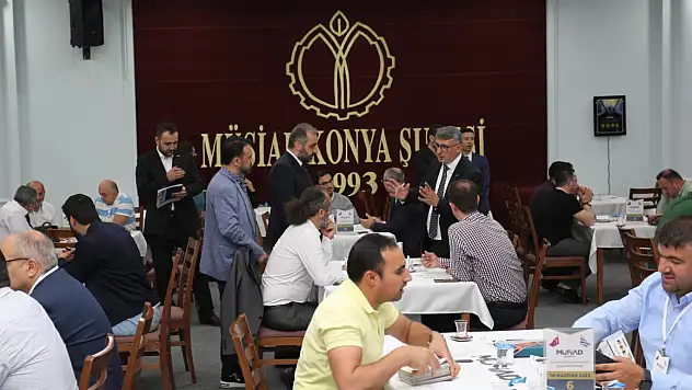 Gürcistan'dan Konya çıkarması