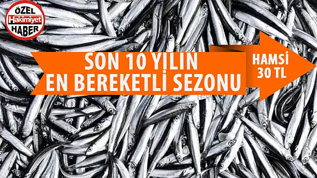Hamsi Bolluğu Konya'ya da Sirayet Etti: Bereketli Sezon Başlıyor