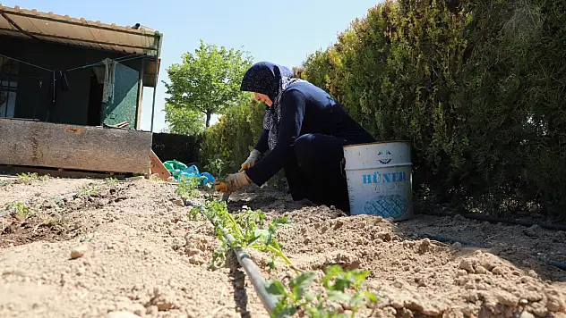 Hasan Kılca: Hobi Bahçeleri Doğal Yaşama Açılan Bir Kapı