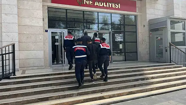 Hayvan hırsızları yakalandı