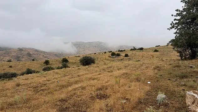 Hayvanlarını otlatmaya gitti, yıldırım kurbanı oldu