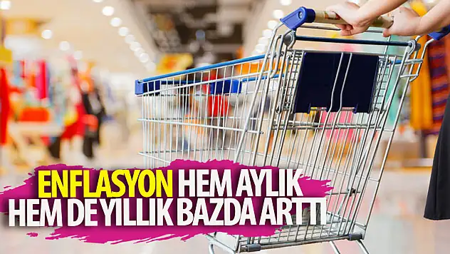 Hem aylık hem yıllık bazda yükselmiş...
