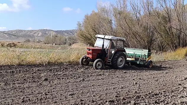Hububat ekimi yapan çiftçiler, yağmur için dua ediyor