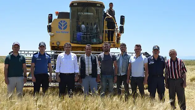 Hüyük'te arpa hasadı başladı