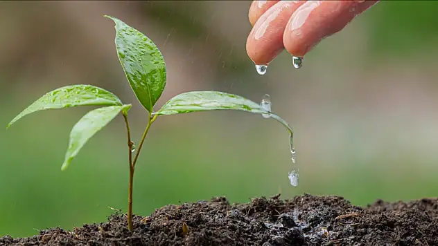 İklim değişikliği gölgesinde su krizi: Türkiye'de kuraklık riski büyüyor