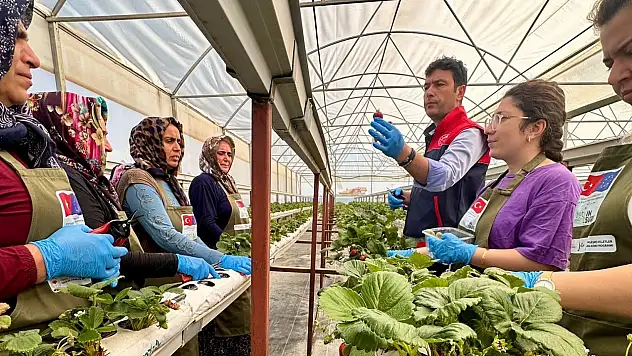 INSURE Projesi Konya'da meyvesini verdi: Eğitimler istihdama dönüştü