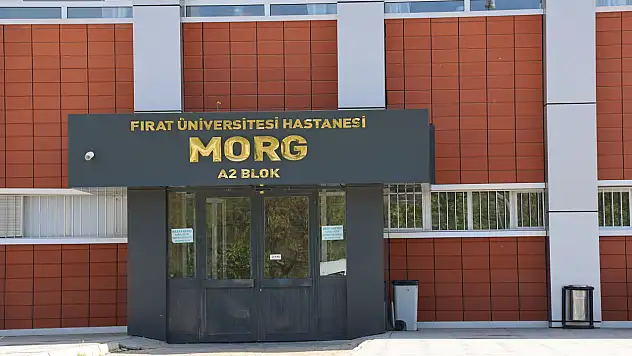 İş makinesinin altında kalan işçi, hayatını kaybetti