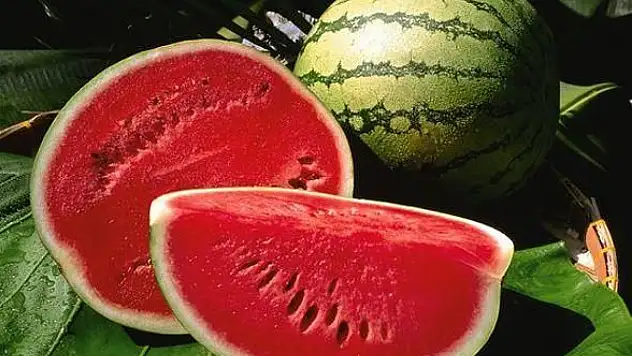 İyi karpuz seçmenin püf noktaları