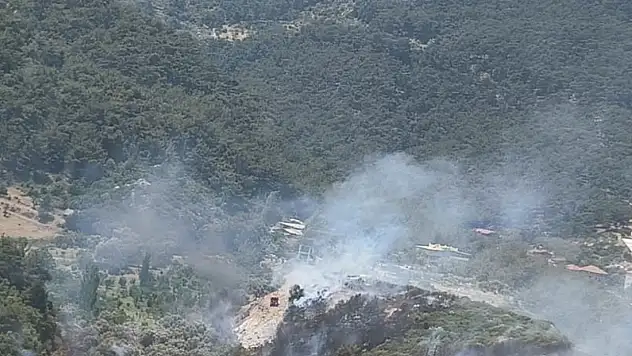 İzmir'de orman yangını çıktı!