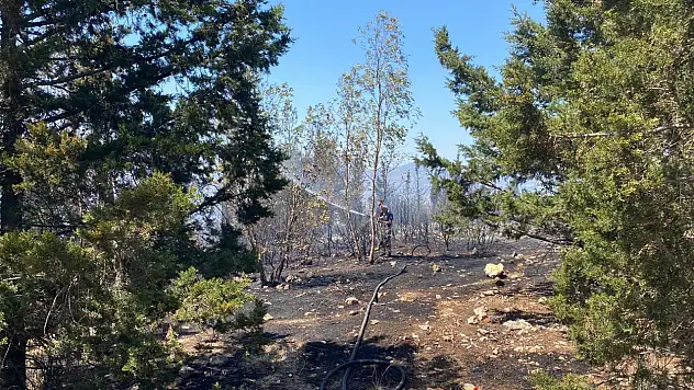 İzmir'deki orman yangınında sevindirici haber!