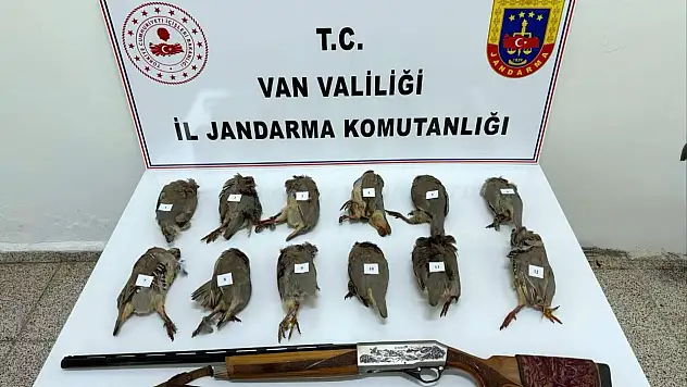 Kaçak avın bedeli ağır oldu! 81 bin 441 TL ceza kesildi