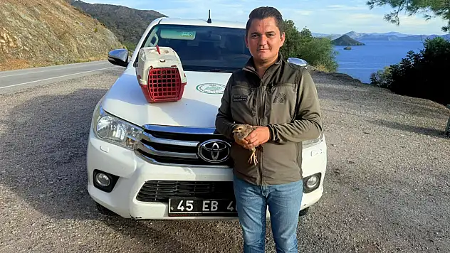 Kaçak keklik satışına ağır fatura: 28 bin TL ceza!