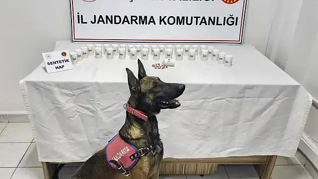 Kaçakçılık operasyonunda 1823 sentetik hap ele geçirildi