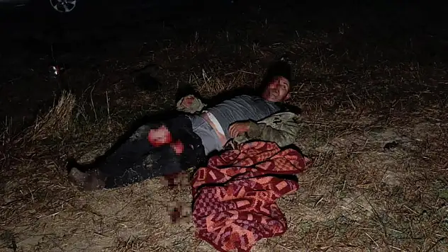 Kaçan Aslan fıstık bahçesinde dehşet saçtı: Çiftçi ağır yaralı