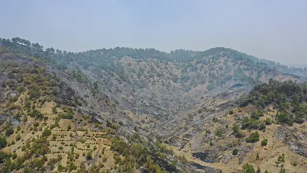 Kahramanmaraş'taki orman yangınına Konya'dan destek