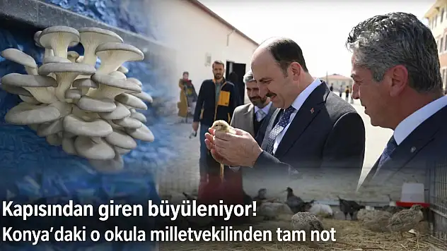 Kapısından giren büyüleniyor! Konya'daki o okula milletvekilinden tam not