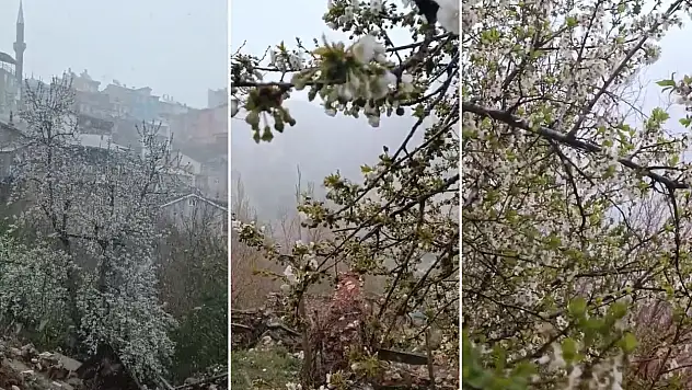 Kar, Konya'nın birçok ilçesini etkisi altına aldı: Üretici endişeli