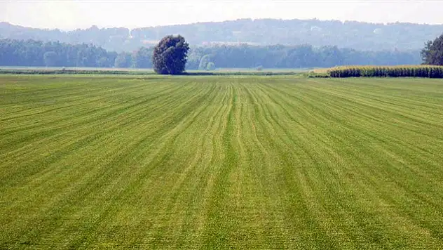 Karapınar Belediyesi'nden 20 Adet Satılık Arsa