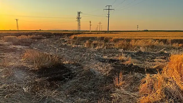 Karapınar'da buğday tarlasında çıkan yangın paniğe yol açtı
